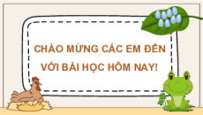 Giáo án Powerpoint Sinh sản ở động vật Sinh học 11 Cánh diều