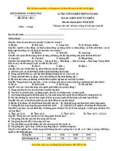 Đề Tốt nghiệp Sinh học 2024 theo đề tham khảo (Đề 10)