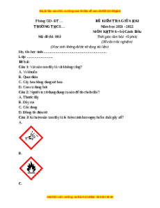 Đề thi giữa kì 1 KHTN 6 Cánh diều - Đề 3