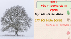 Giáo án Powerpoint Cây sồi mùa đông Ngữ văn 8 Chân trời sáng tạo