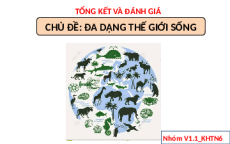 Giáo án Powerpoint Bài tập Chủ đề 8 trang 136 KHTN 6 Cánh diều