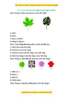 Trắc nghiệm Vai trò của tính đối xứng trong thế giới tự nhiên Toán 6 Chân trời sáng tạo