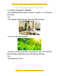 Lý thuyết KHTN 7 Kết nối tri thức Bài 15: Năng lượng ánh sáng. Tia sáng, vùng tối