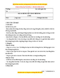 Giáo án Bài 16 Khoa học lớp 4 (Kết nối tri thức): Động vật cần gì để sống?