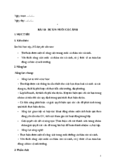 Giáo án chuyên đề Bài 13: Dự án nuôi cá cảnh Công nghệ Lâm nghiệp thủy sản 12 Kết nối tri thức