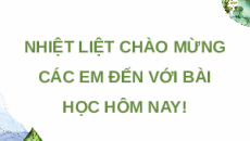 Giáo án Powerpoint Bài 35: Dự án Sinh học 12 Kết nối tri thức