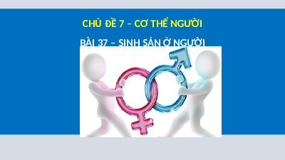 Giáo án Powerpoint Sinh sản ở người Sinh học - KHTN 8 Cánh diều