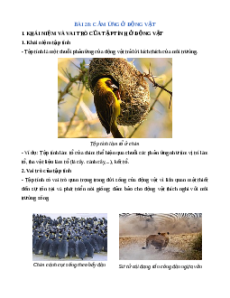 Lý thuyết Cảm ứng ở động vật KHTN 7 Cánh diều