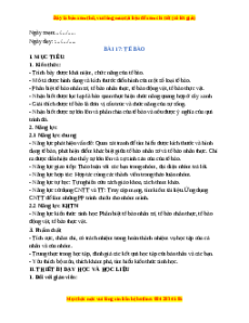 Giáo án Bài 17 KHTN 6 Chân trời sáng tạo (2024): Tế bào