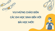 Giáo án Powerpoint Bài 18: Sinh học 10 Cánh diều: Sinh trưởng và sinh sản ở vi sinh vật