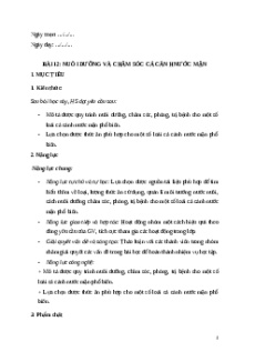 Giáo án chuyên đề Bài 12: Nuôi dưỡng và chăm sóc cá cảnh nước mặn Công nghệ Lâm nghiệp thủy sản 12 Kết nối tri thức