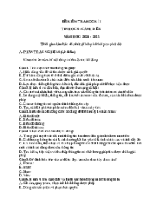 Đề thi Cuối kì 1 Tin học 9 Cánh diều (Đề 2)