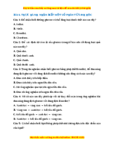 Trắc nghiệm Thực hành nhận biết một số phân tử sinh học Sinh học 10 Kết nối tri thức