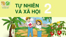 Bài giảng Powerpoint Tự nhiên xã hội lớp 2 Kết nối tri thức