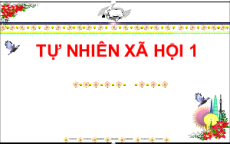 Giáo án Powerpoint Ôn tập chủ đề 3 Tự nhiên xã hội lớp 1 Cánh diều