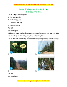 Trắc nghiệm Công nghệ 7 Bài 6 Chân trời sáng tạo: Rừng ở Việt Nam