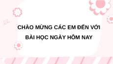 Giáo án Powerpoint Viết: Luyện tập viết đoạn văn cho bài văn miêu tả con vật Tiếng việt lớp 4 Chân trời sáng tạo (Pb2)
