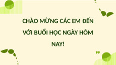 Giáo án Powerpoint chuyên đề Bài 8: Ứng dụng CNSH trong phòng trị bệnh Thủy sản 12 Kết nối tri thức