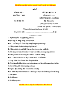 Đề thi cuối kì 2 Tin học 11 Cánh diều (Đề 1)