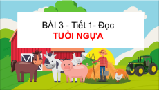 Giáo án Powerpoint Bài 3: Tuổi ngựa Tiếng Việt lớp 5 Kết nối tri thức