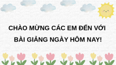 Giáo án Powerpoint Luyện từ và câu: Trạng ngữ chỉ phương tiện Tiếng việt lớp 4 Chân trời sáng tạo (Pb2)