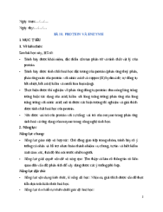 Giáo án Bài 8 Hóa học 12 Chân trời sáng tạo: Protein và enzyme