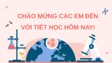 Giáo án Powerpoint Thực hành: Một số thí nghiệm về tuần hoàn Sinh học 11 Kết nối tri thức