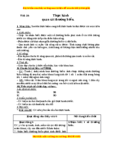 Giáo án Thực hành: Quan sát thường biến Sinh học 9