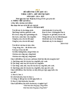 Đề thi giữa kì 1 Tiếng Việt lớp 5 Kết nối tri thức (Đề 3)
