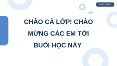 Giáo án Powerpoint chuyên đề Bài 13: Dự án nuôi cá cảnh Công nghệ Lâm nghiệp thủy sản 12 Kết nối tri thức