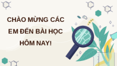 Giáo án Powerpoint Thực hành: Cảm ứng ở thực vật Sinh học 11 Kết nối tri thức