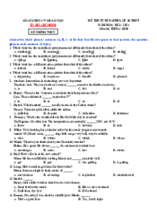 Đề thi vào 10 Tiếng Anh Thành phố Hồ Chí Minh năm 2023-2024