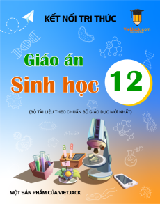 Giáo án Sinh học 12 Kết nối tri thức (năm 2025) | Giáo án Sinh học 12 mới, chuẩn nhất