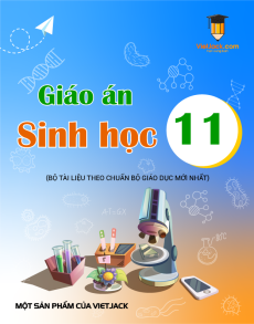 Giáo án Sinh học 11 (sách mới) | Giáo án Sinh học 11 Kết nối tri thức, Cánh diều, Chân trời sáng tạo