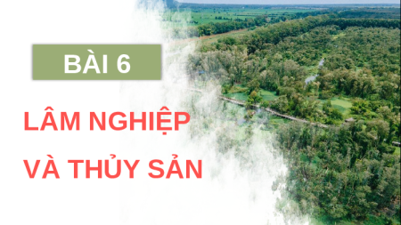 Giáo án Powerpoint Bài 6 Địa lí 9 Kết nối tri thức: Thực hành