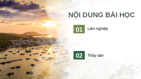Giáo án Powerpoint Bài 6 Địa lí 9 Kết nối tri thức: Thực hành