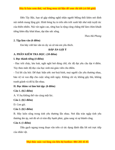 Đề thi cuối kì 1 Tiếng Việt lớp 4 Cánh diều (đề 3)