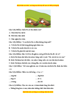 Đề thi giữa kì 1 Tiếng Việt lớp 3 Chân trời sáng tạo (đề 2)