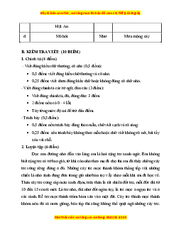 Đề thi giữa kì 1 Tiếng Việt lớp 3 Chân trời sáng tạo (đề 2)