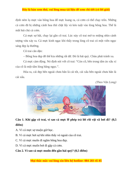 Đề thi cuối kì 1 Tiếng Việt lớp 4 Cánh diều (đề 5)