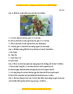 Đề thi giữa kì 1 Tiếng Việt lớp 3 Kết nối tri thức (đề 3)