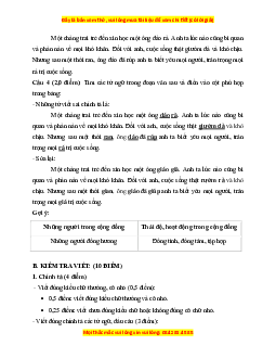 Đề thi giữa kì 1 Tiếng Việt lớp 3 Chân trời sáng tạo (đề 4)