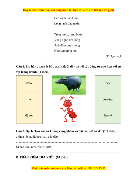 Đề thi cuối kì 1 Tiếng Việt lớp 4 Kết nối tri thức (đề 8)