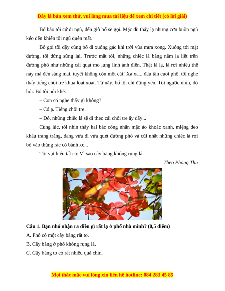 Đề thi cuối kì 1 Tiếng Việt lớp 4 Kết nối tri thức (đề 1)
