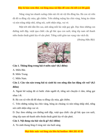 Đề thi cuối kì 1 Tiếng Việt lớp 4 Chân trời sáng tạo (đề 1)