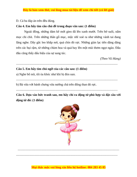 Đề thi cuối kì 1 Tiếng Việt lớp 4 Cánh diều (đề 9)