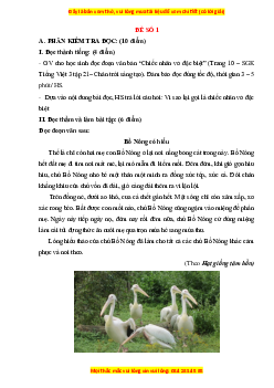 Đề thi giữa kì 1 Tiếng Việt lớp 3 Chân trời sáng tạo (đề 1)