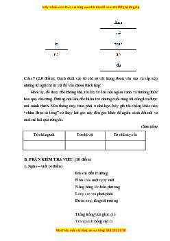 Đề thi giữa kì 1 Tiếng Việt lớp 3 Chân trời sáng tạo (đề 1)