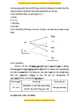 Đề thi giữa kì 1 Tiếng Việt lớp 3 Chân trời sáng tạo (đề 1)