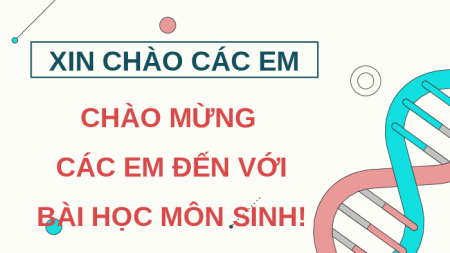 Giáo án Powerpoint Bài 36: Khái quát về di truyền học KHTN 9 Kết nối tri thức